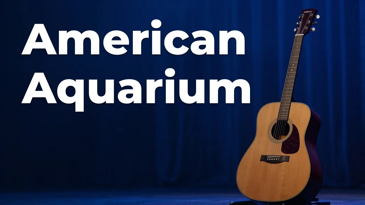 Concept artwork for American Aquarium; not official event artwork or a performer photograph